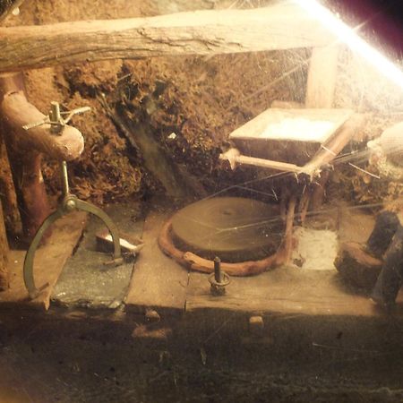 Гостевой дом El Recreo De San Martin Sl Сан-Мартин-де-Кастаньеда Экстерьер фото